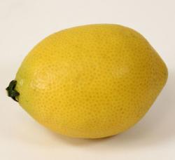 citron kopie.jpg citron kopie.jpg