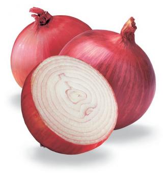 cibuľa cibuľa