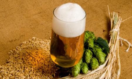 Domáce pivo Domáce pivo