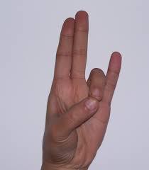 prithvi mudra.jpg