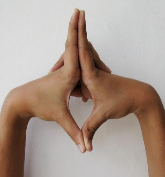 Uttarabodhi Mudra.jpg