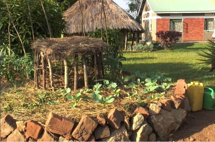 Africká záhrada – ako ju vytvoriť vlastnými rukami Africká záhrada – ako ju vytvoriť vlastnými rukami